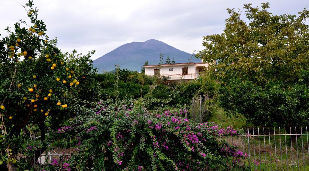 B&B Casa Di Donna Trecase Ngoại thất bức ảnh